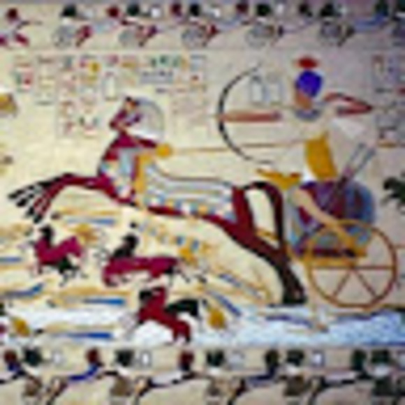 tarekmokhtar07